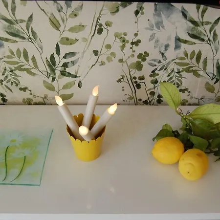 El Limonero Apartmán Fuengirola